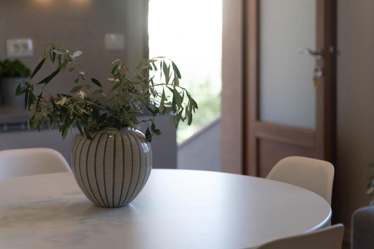 Apartments Alloro By Seeadria Agency Novigrad  Exterior photo